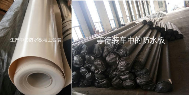 香港宝典免费公开资料大全