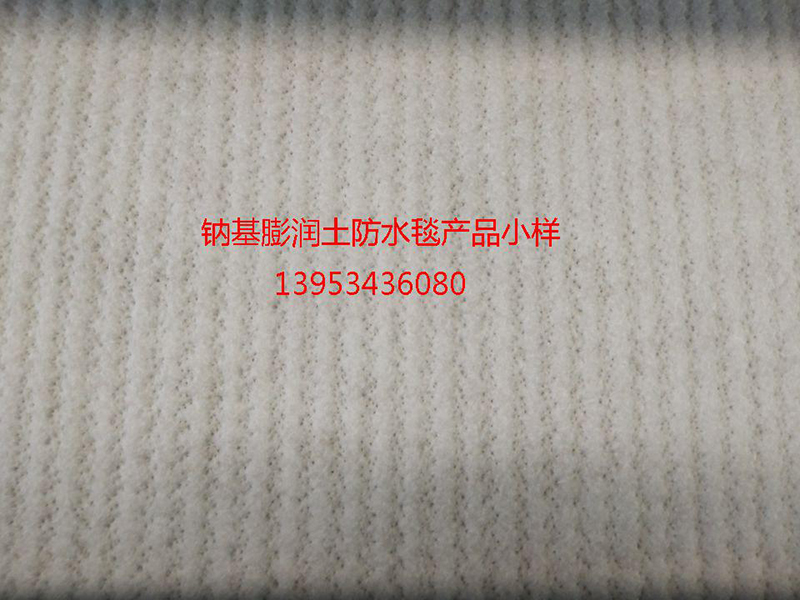 香港宝典免费公开资料大全