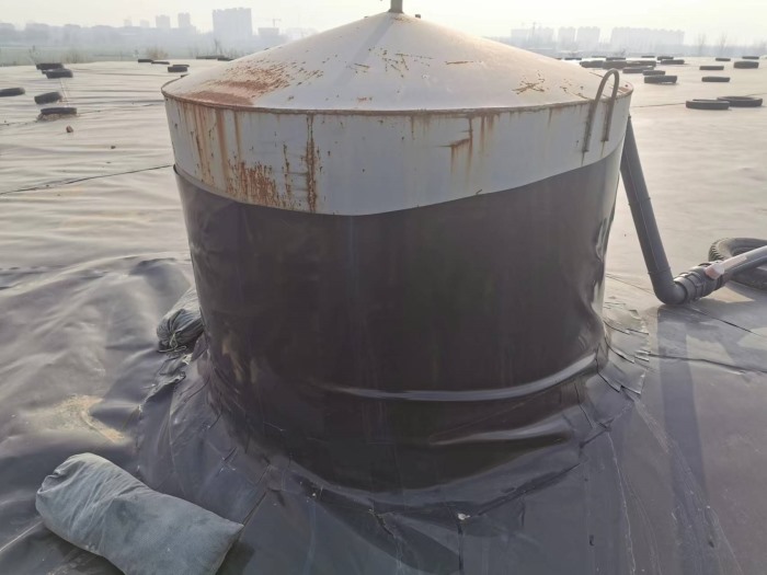 香港宝典免费公开资料大全